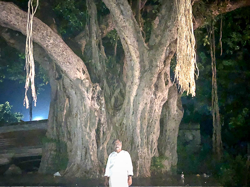 Pastor Benjamin in front of the enormous banyan tree